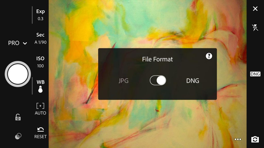 Adobe Lightroom Mobile and DNG format