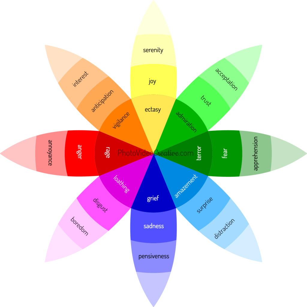 Plutchik's Wheel of Emotions (primary emotions)