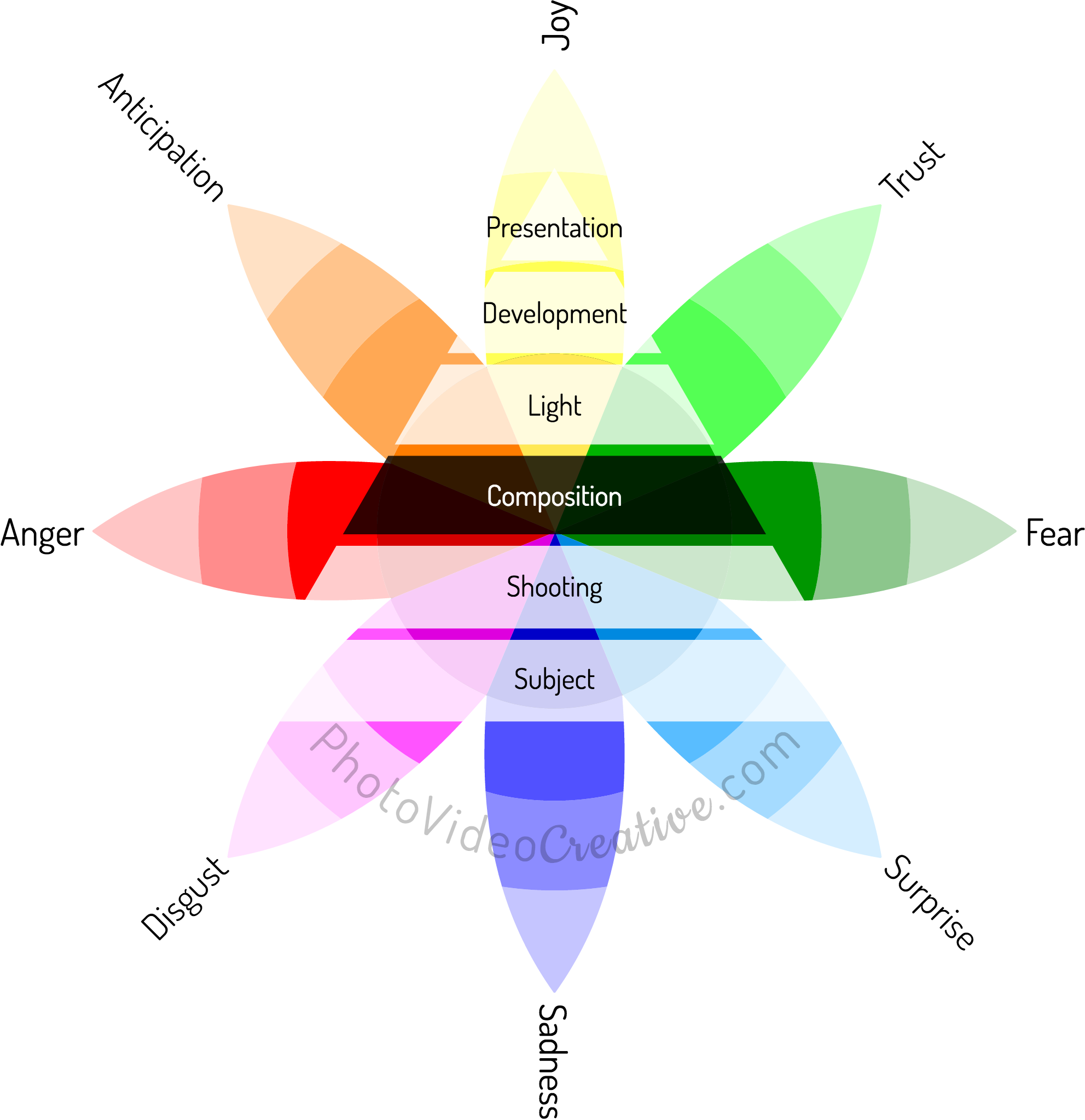 The Composition: the 3rd level of the 6 photographic techniques to capture and share emotions in your photos