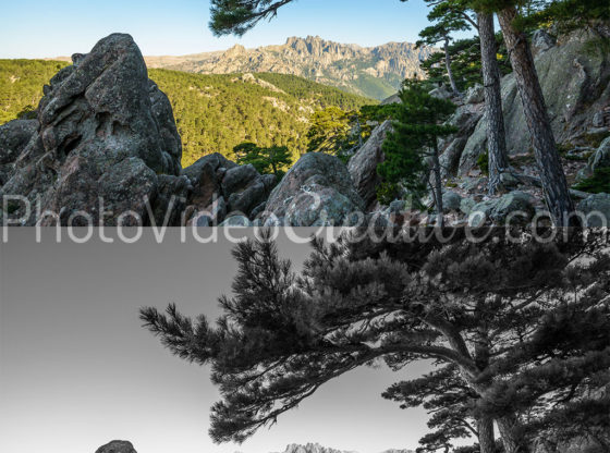Color landscape photo and Black and white landscape photo
