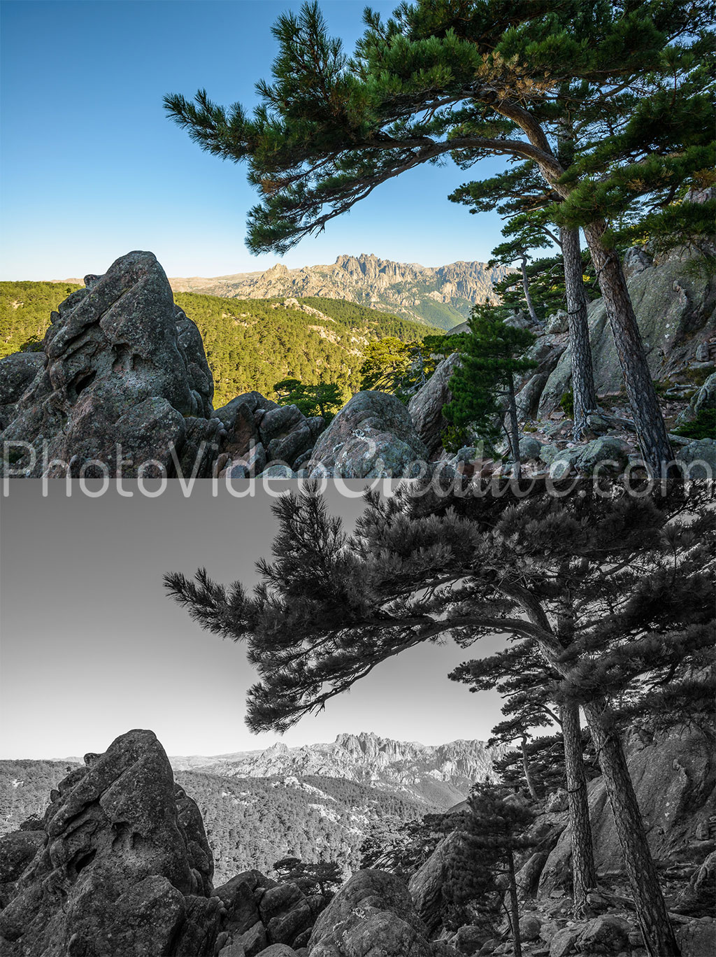 Photo de paysage en couleur et en noir et blanc