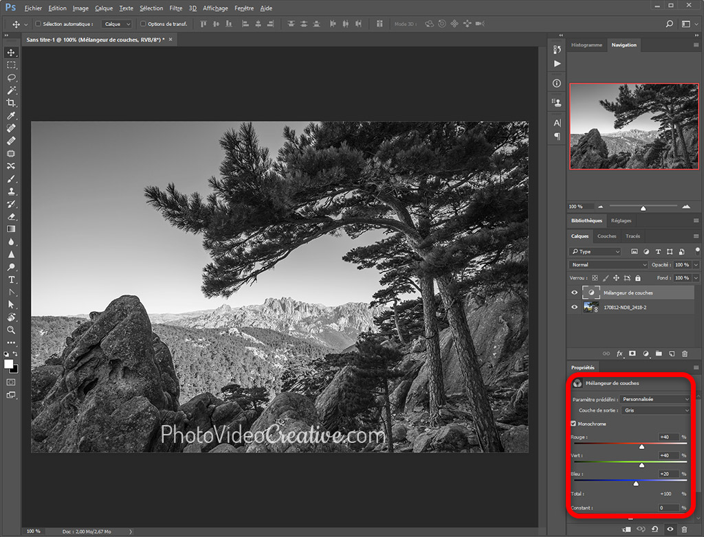 Conversion en noir et blanc avec le mélangeur de couche RVB dans Adobe Photoshop