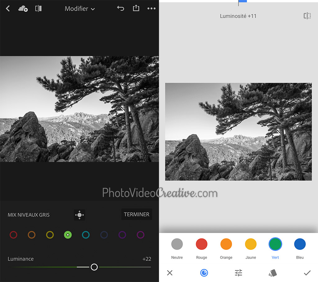 Conversion en noir et blanc dans Adobe Lightroom Mobile et Google Snapseed