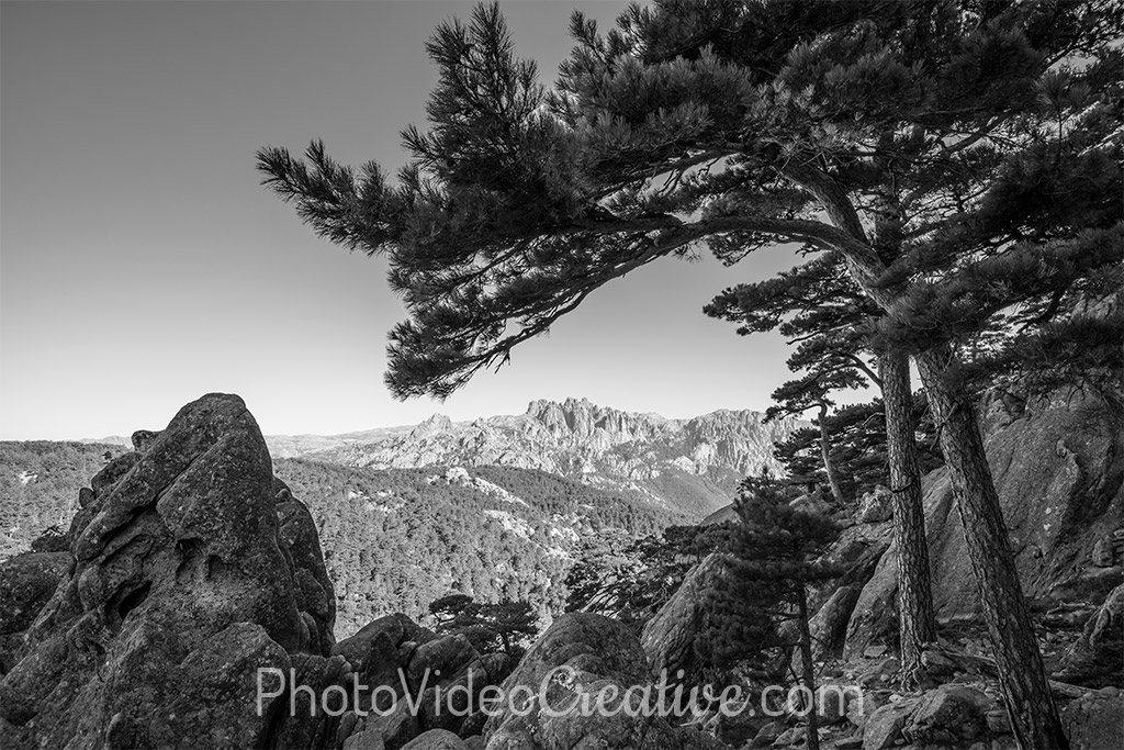 Black and white landscape photo